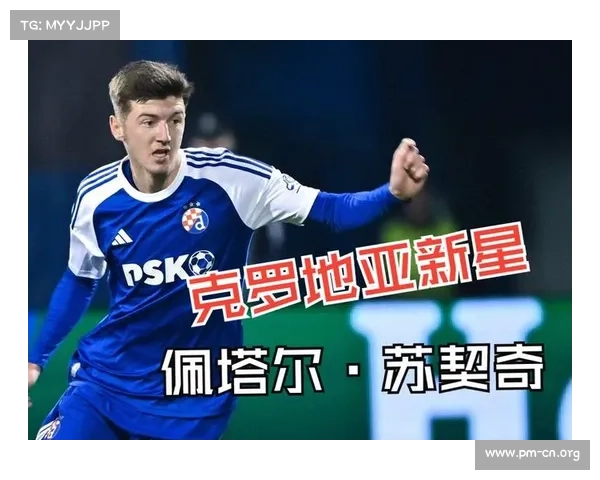 经纪人纳莱蒂利奇谈国际米兰签下佩塔尔苏契奇一事的背后故事 经纪人纳莱蒂利奇谈国际米兰签下佩塔尔苏契奇一事的背后故事