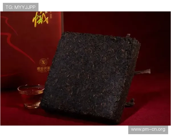 国安球迷齐聚肆閤院儿周年庆共庆生日传承绿色信仰情怀与荣耀同行