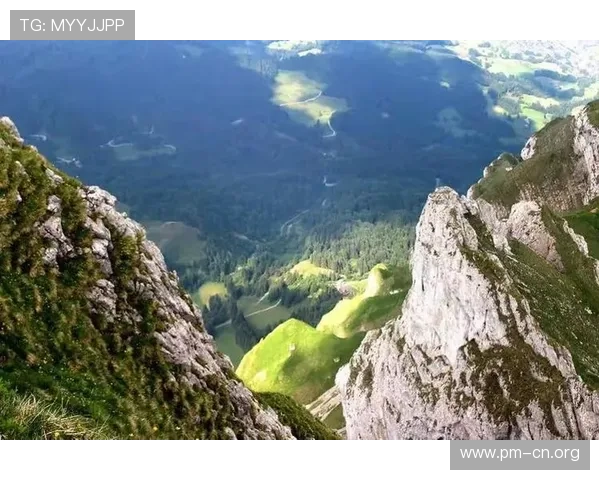 阿尔卑斯山脉中梦想之花盛开，绽放无限希望与奇迹