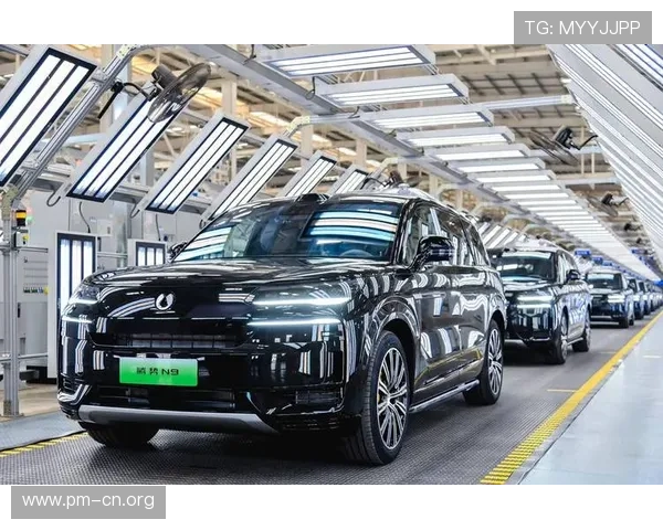 以N9国际为核心推动全球化战略布局，打造跨行业合作新平台