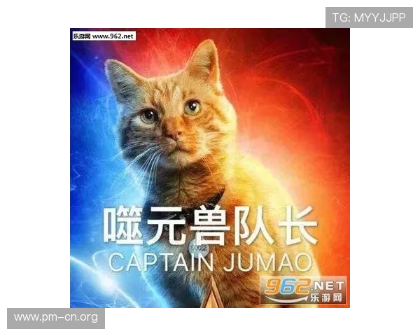 《猫先生的奇妙冒险：在城市与森林之间的猫咪人生》