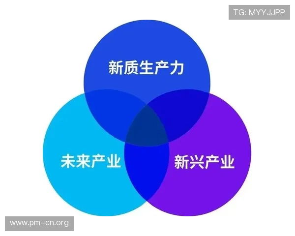 胜天国际引领未来发展创新模式探索与实践